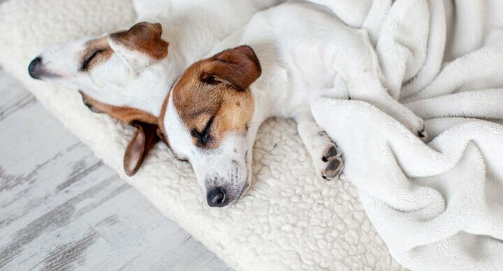 co-sleeping dochter