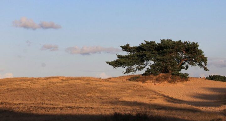 Gelderland wandelroutes