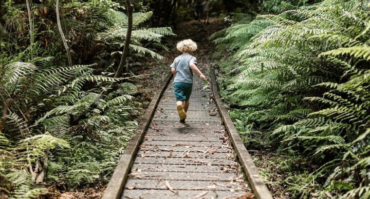 coole belevingspaden kinderen bos