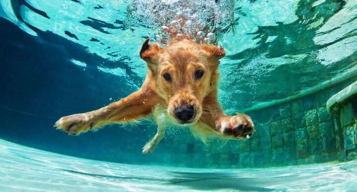 leukste waterattracties Nederland