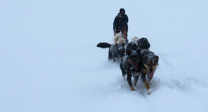 mama op expeditie portretten Kim Broux