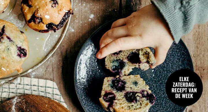 vegan muffins met blauwe bessen