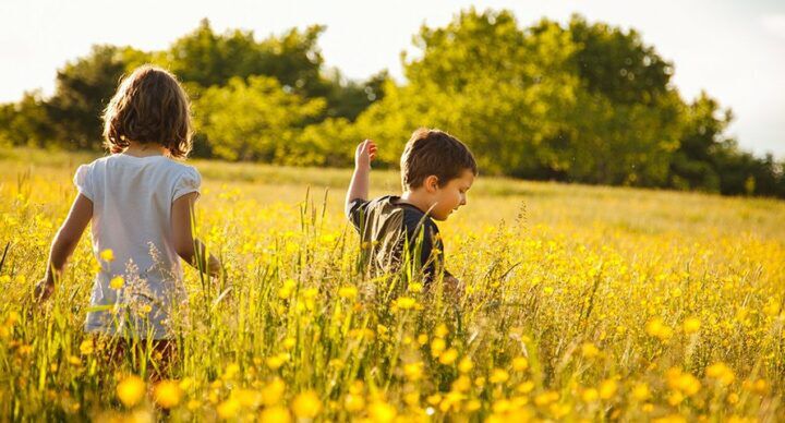 5x leukste uitjes natuur