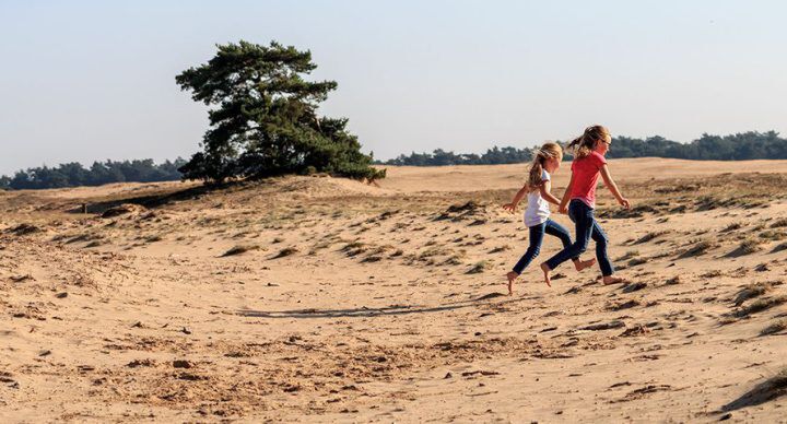 leuke dingen te doen met kinderen Veluwe