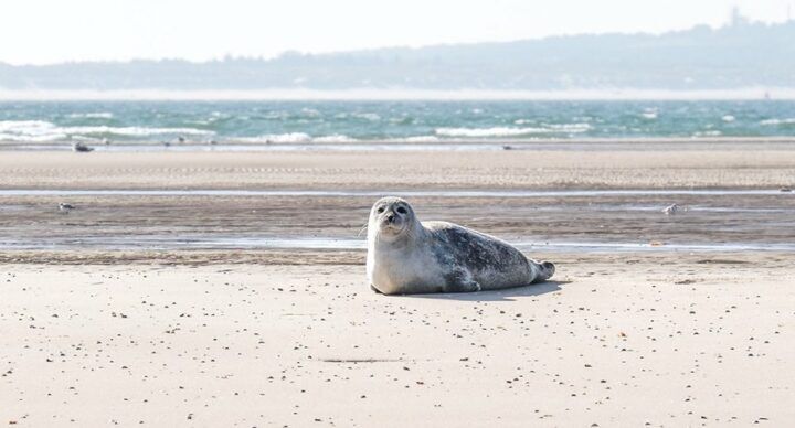 Vlieland met korting