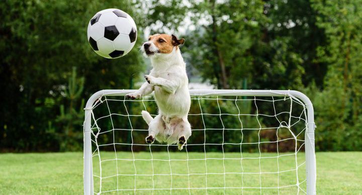 je kind op voetbal leeftijd