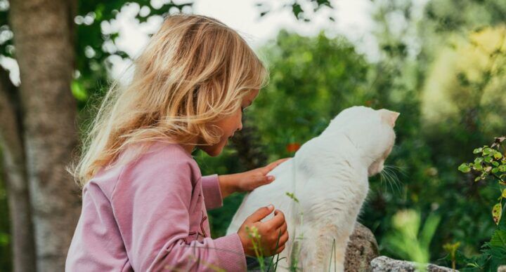 hotspots nederland gezinsuitje dieren