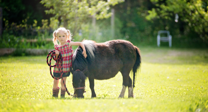 paard paardenmeisje paardengek