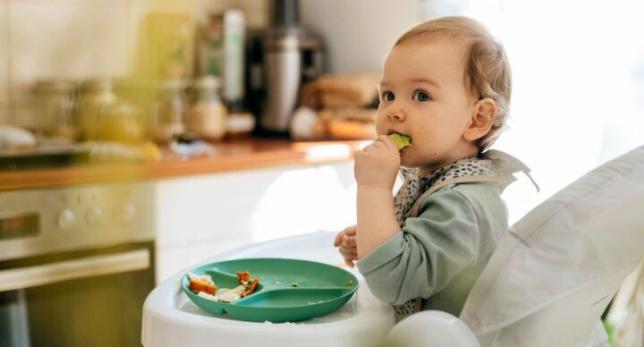 dagmenu dreumes noor eten drinken