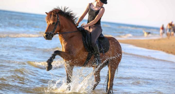 meisje met paard in zee