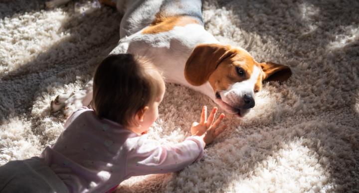 Kinderen sterrenbeelden dierenvrienden