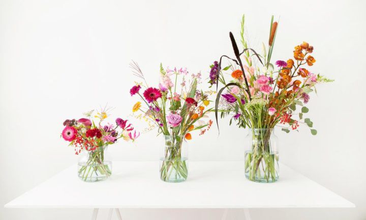 Illustratie bij: Bloemen waar we blij van worden