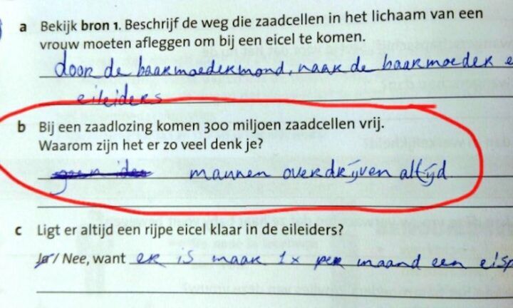 briljante-antwoorden-op-schoolopdrachten