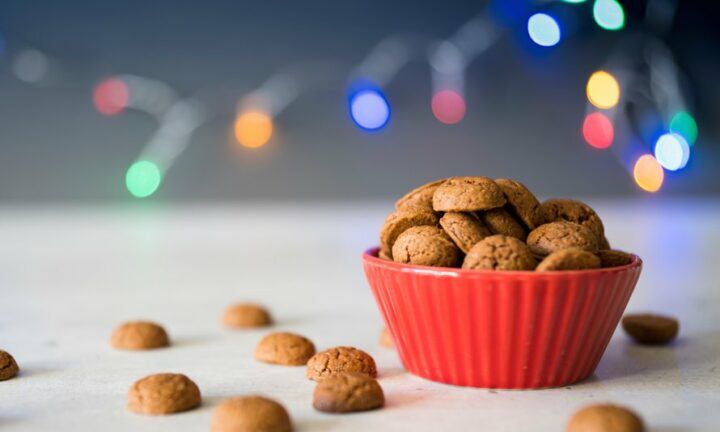 sinterklaasfeest-organiseren-tips
