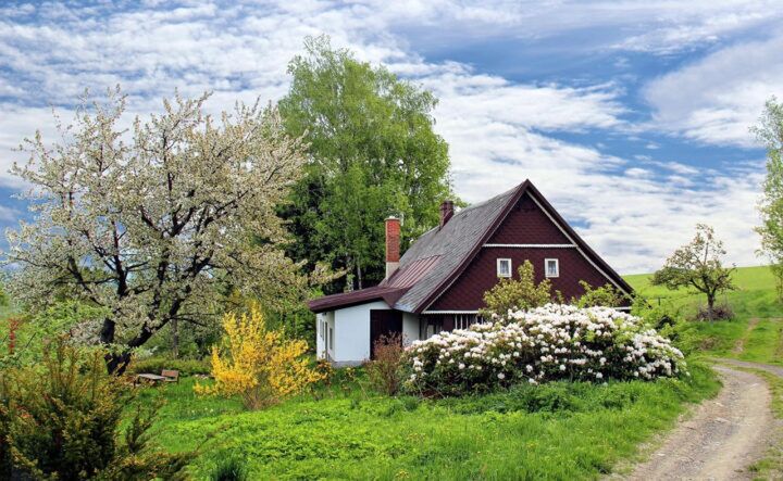 Illustratie bij: Tip: zó kun je jouw tuin modern indelen