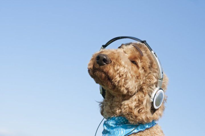 Illustratie bij: Effe rust: dít zijn de leukste podcasts voor kinderen