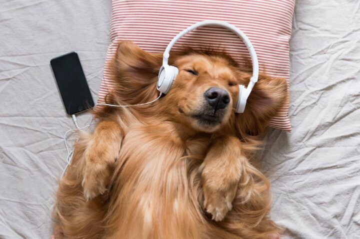podcast_oldenhermanns_mamastress