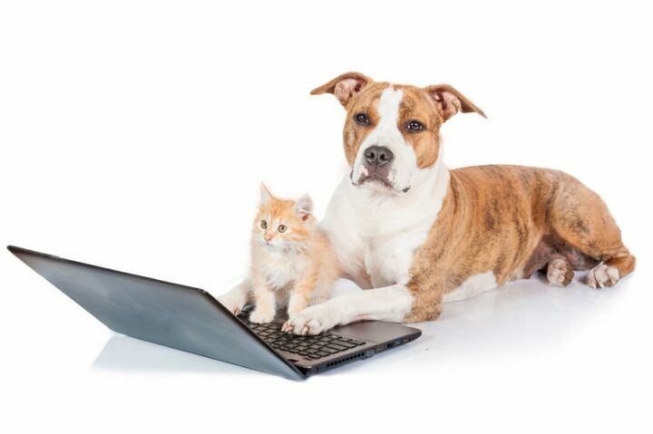 tips_kind_online_beschermen