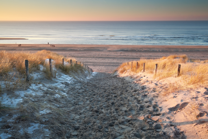 Illustratie bij: Plof maar neer: deze strandtenten zijn het hele jaar open