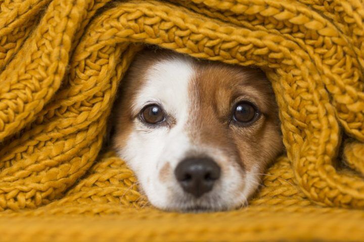 dekens_om_baby_warm_te_houden