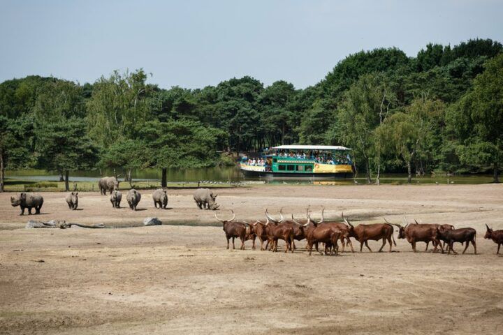 Illustratie bij: Hier moet je zijn voor het perfecte zomeruitje
