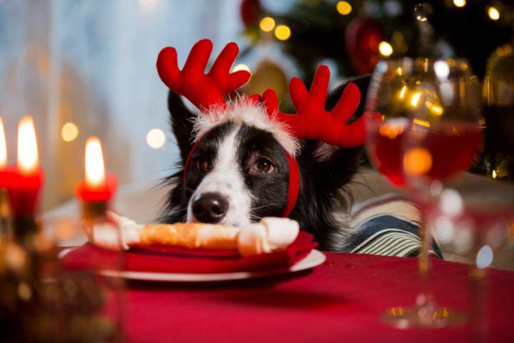 Illustratie bij: Onderzoek: 77% van de ouders betrekt kind bij bereiding kerstdiner