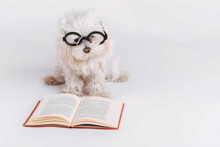 leuke_boeken_voor_kleuters