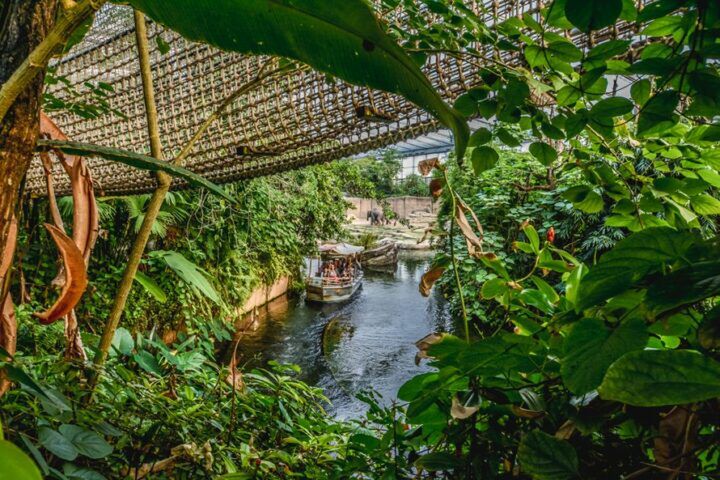 Illustratie bij: Spectaculair: in dit bijzondere park staat je kind oog in oog met wilde dieren