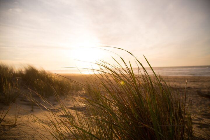 seks duinen