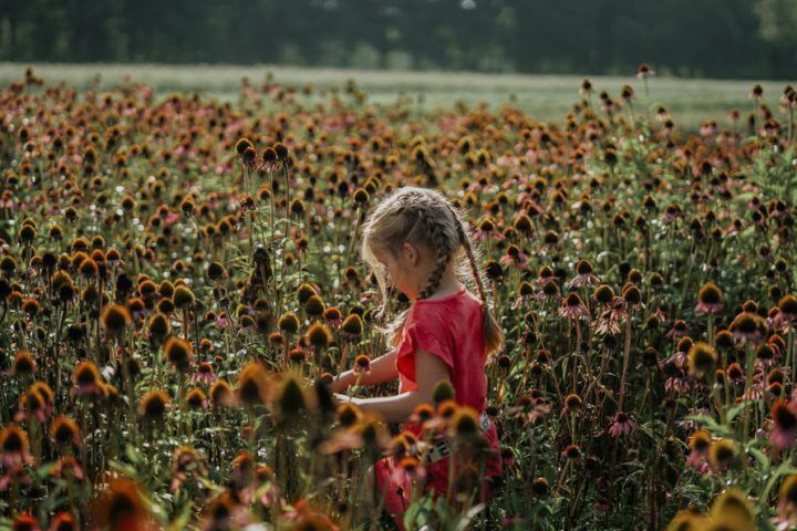 Illustratie bij: 6 tips: zo versterk je het immuunsysteem van je kind