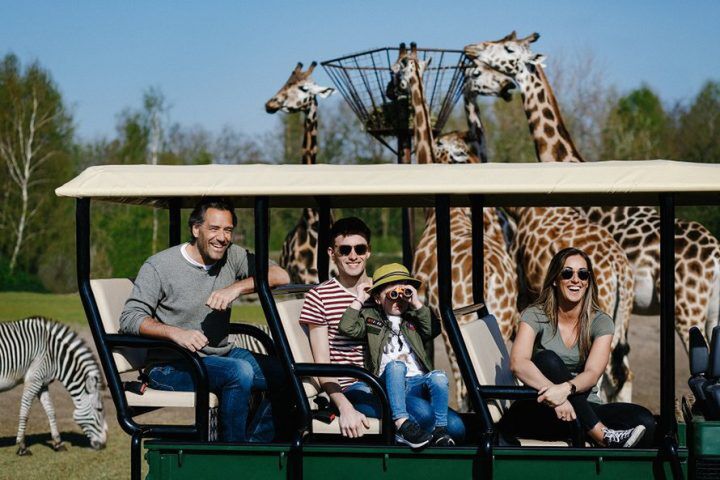 Illustratie bij: 5 x zo beleef je een Afrikaanse zomer in Beekse Bergen