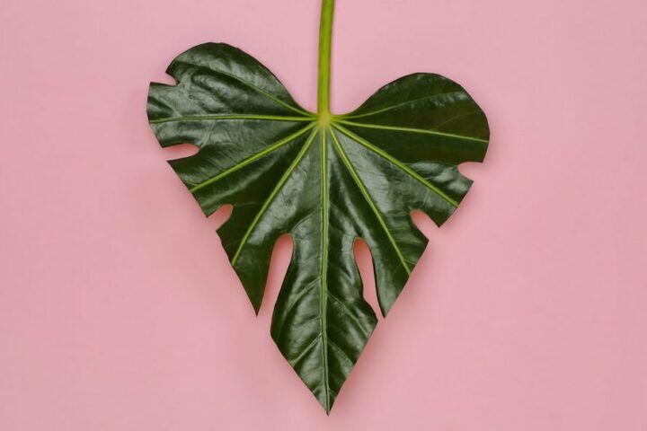 planten in babykamer