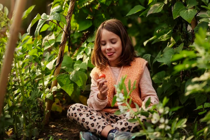 Illustratie bij: Pak nu dikke korting op een heerlijke gezinsvakantie bij Center Parcs!