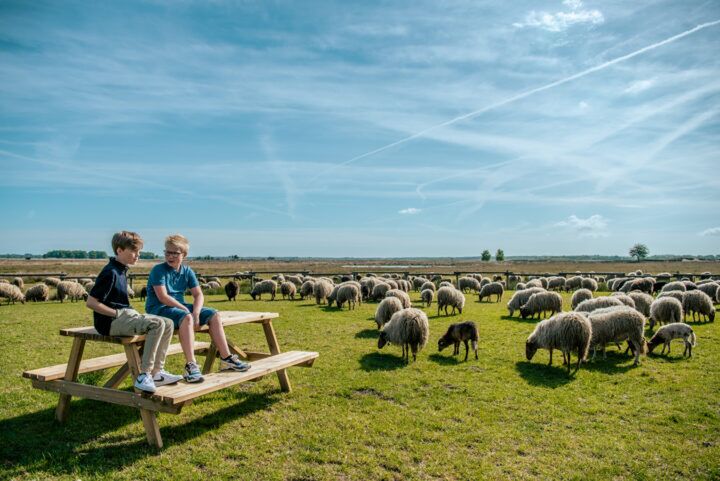Illustratie bij: De perfecte spot voor een minivakantie in eigen land