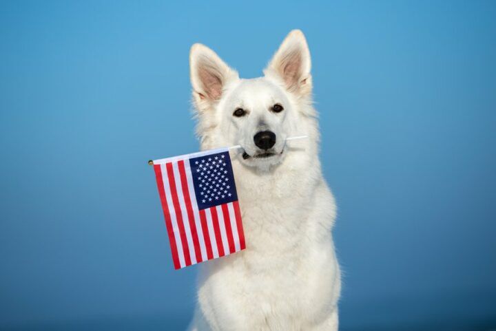 populairste_amerikaanse_babynamen_2020