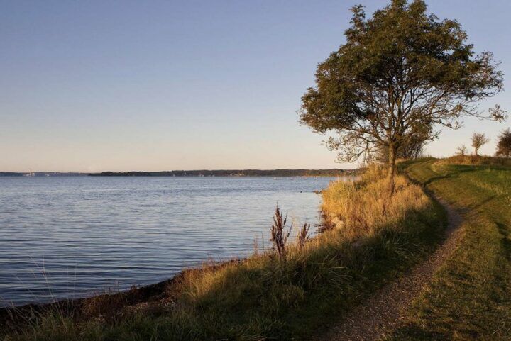 Illustratie bij: Dit kun je tijdens de herfstvakantie doen in Zuid-Denemarken met kinderen