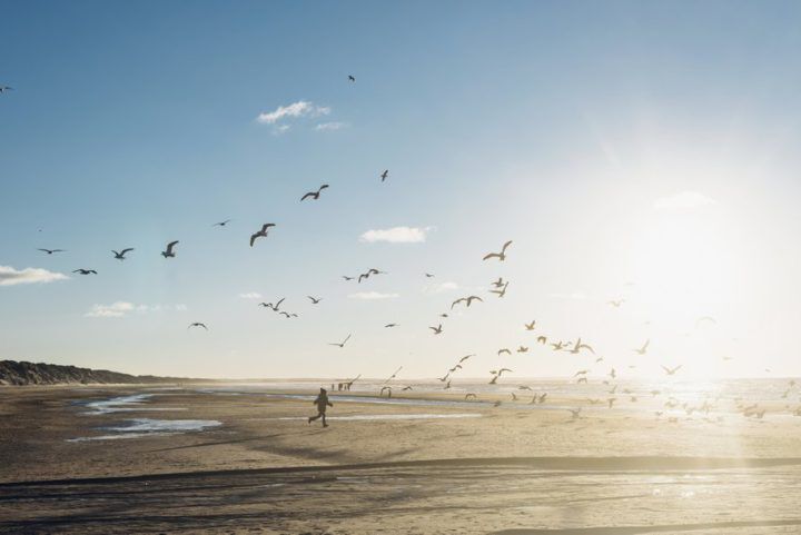 mooiste_strandwandelingen_nederland