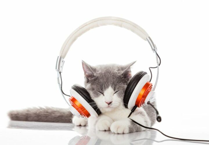 podcast eerste weken met baby