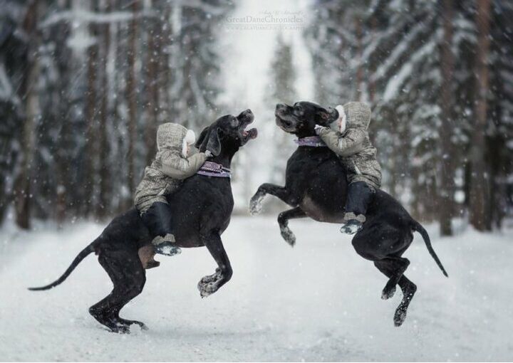 Illustratie bij: Fotoserie: kinderen met hun megagrote hond