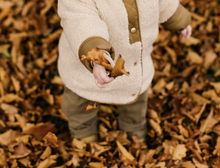 herfstwandeling