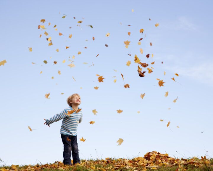Illustratie bij: Nooit meer vervelen: 28 herfstactiviteiten met je kleine(n)